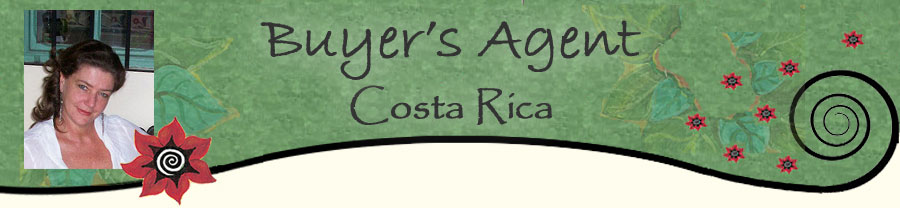 buyers agent